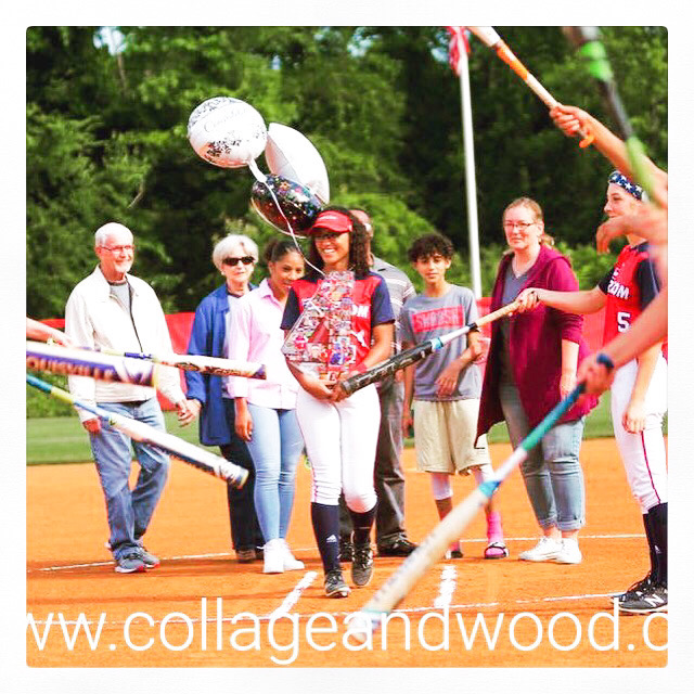 Softball Collages