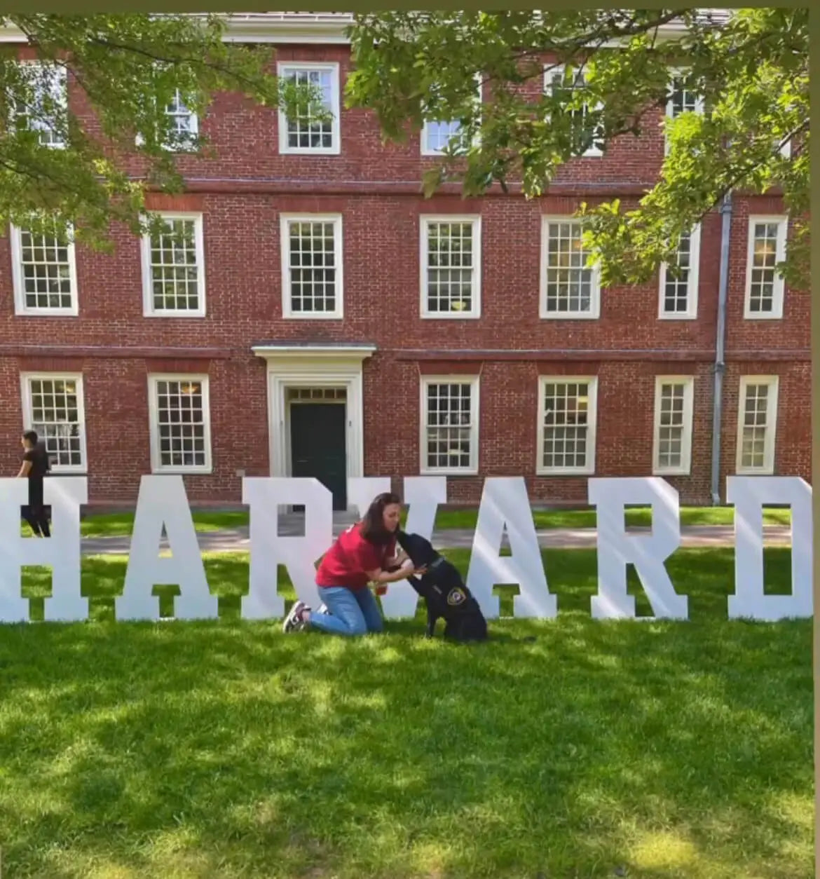 Giant wooden letters from Collage and Wood on display for a harvard alumni event.